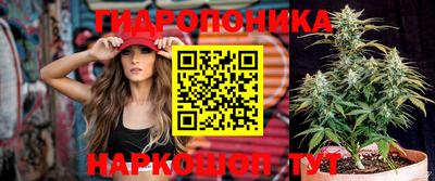 дживик Берёзовский