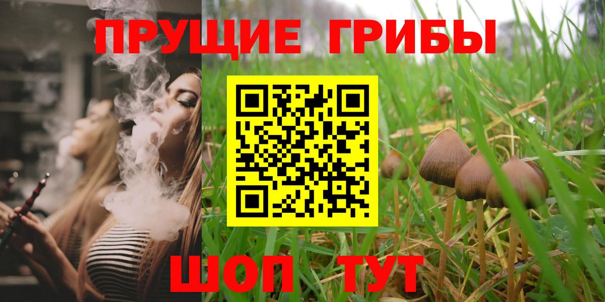 Псилоцибиновые грибы Magic Shrooms Железногорск